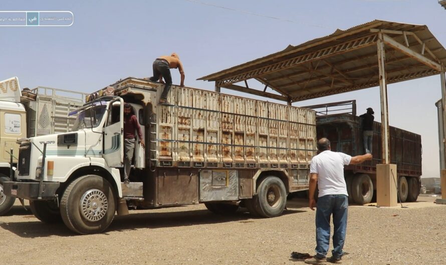 جانب من عمليات استلام محصول القمح للموسم الحالي من قبل الفلاحين