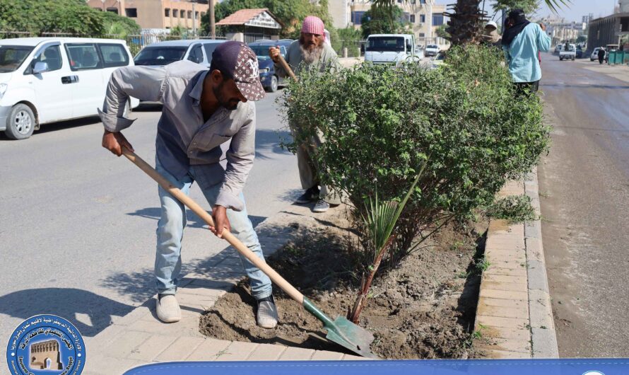 إزالة الأعشاب الضارة وتحويض الأشجار في منصف شارع الكراجات