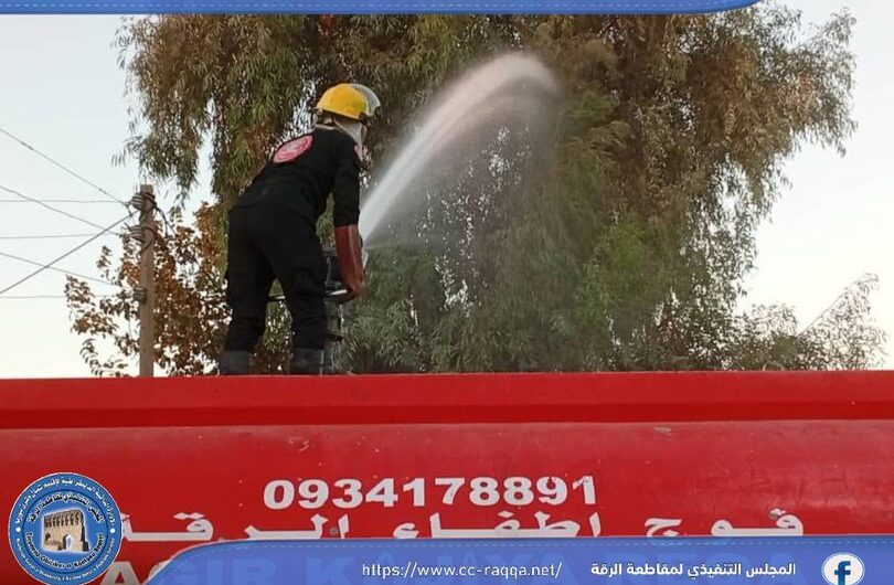 إخماد حريق نشب في شجرة كينا في منطقة حويجة السوافي